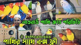 লাভবার্ড পাখির বর্তমান দাম || Lovebird bird low price || Bird market-2024 || Atik Bird house