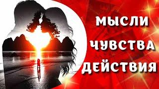 МЫСЛИ, ЧУВСТВА И ДЕЙСТВИЯ ВАШЕГО МУЖЧИНЫ ️ТАРО РАСКЛАД