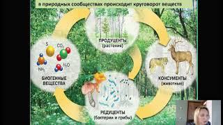 Функциональные группы в экосистеме. Биология 11 класс.