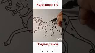 КАК НАРИСОВАЬ СОБАКУ/ How to draw a dog/ ИТ расмини чизиш. Иттын суротун тартуу