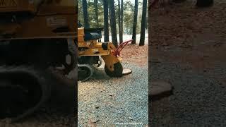 Unleashing Havoc! Letting it Rip 《》