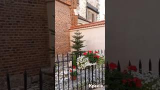 Старе місто Краків - церкви, клумби та чарівна архітектура#спогади #подорож #poland #krakow #shorts