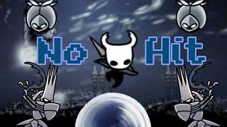 No Hit Path of Pain |Hollow Knight|