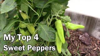 My Top 4 Favorite Sweet Peppers To Grow - What Are Yours?