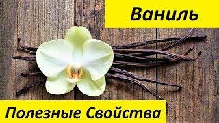 Ваниль. Полезные Свойства и Вред Ванили