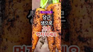 당근 그냥 생으로 먹지 마세요 /당근 먹는 법 #건강 #건강정보 #건강상식