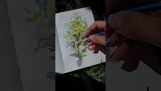 #акварель #рисунок #цветы #скетчбук #природа #растения  #plants #nature #art #artist #watercolor