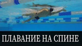 КАК ПЛАВАТЬ НА СПИНЕ? ТЕХНИКА ДЛЯ НАЧИНАЮЩИХ @Swimmate.ru