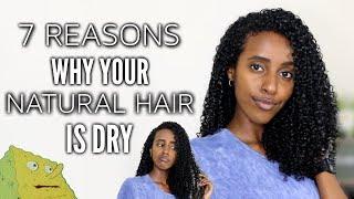 7 Reasons Why Your Natural Curly Hair Is DRY | Lydia Tefera