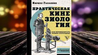 Практическая кинезиология. Как перевоспитать мышцы халтурщицы  (Кирилл Галанкин) Аудиокнига