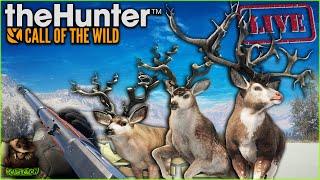The 2nd Great One Mule Deer Grind BEGINS! Fully Herd Managed Askiy Ridge Grind! Call of the wild