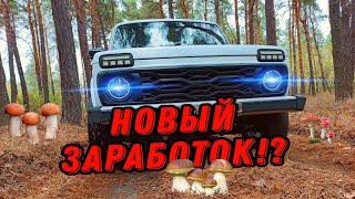 Коп НЕВЫГОДЕН.! Цены на металл ПАДАЮТ.! #hunting #коп #металлокоп #клад #заработок #metaldetecting