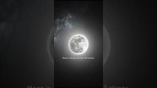 Quotes                                              #random #quotes #thoughts #moon #shine