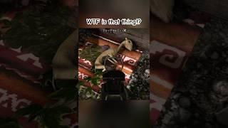 The most random video you’ll see today #ghostreconwildlands #ghostrecon #randomshorts