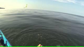 kayak mackerel 4