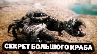 Skyrim Секрет Огромного КРАБА. Интересный квест "Испытание Кин". Секреты Скайрим