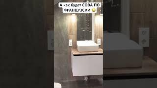 А КАК БУДЕТ СОВА ПО ФРАНЦУЗСКИ #shorts #tiktok #video #приколы