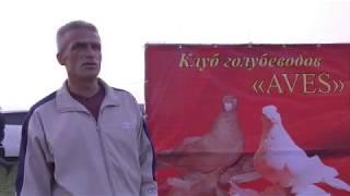 20.10.19. Выставка Голубей г Курганинск ч1. Exhibition of Pigeons Mr. Kurganinsk p1.