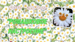 РОМАШКОВОЕ НАСТРОЕНИЕ. Алексеевский Дом культуры. 8 июля 2021 г.