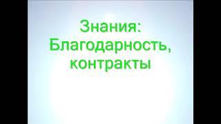 Знания: Благодарность контракты