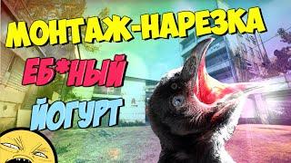 "Еб*ный йогурт" [CS:GO монтаж] (Руди, TOBLBOBL, ARM4CH4NN3L)