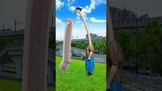 Funny special effects video