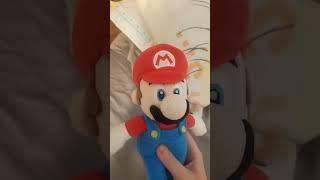 Mario's Not Your Brah