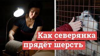 Как хозяйка хаски и алабаев прядет и вяжет из их шерсти | 29.RU