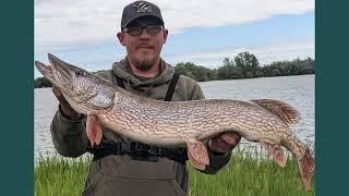 Berkley Big Game Rod! Big Northern Pike!