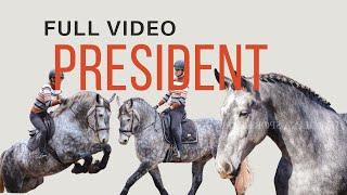 President - FULL VIDEO || HorseBid || Percheron || Friesian