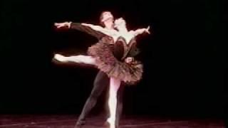 Cecilia Kerche - Black Swan - Cisne Negro