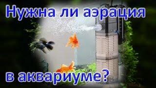 Нужна ли аэрация в аквариуме? Аэрация воды в аквариуме. Необходимость или излишество? Продувка воды.