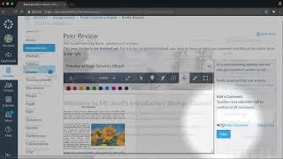 Peer Reviews   Canvas Tutorial Video Series