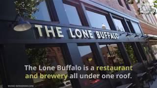 The Lone Buffalo Video