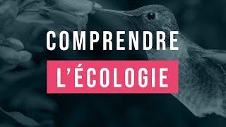 15 minutes pour comprendre facilement l'écologie