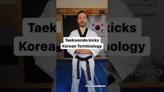 Korean Terminology: Taekwondo Kicks!