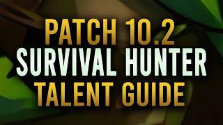 10.2 R1 Survival Hunter | Basic Arena Talent Builds / PvP talent guide