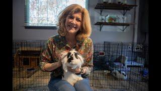 Snuggle bunnies at this rabbit café in South Jersey