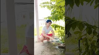 #timelapse Star to finish alone build log cabin (wooden house) how to build wooden cabin surviva