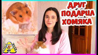 Друг ПОДАРИЛ ХОМЯКА / Реальная история / Распаковка посылки от подписчиков / Alisa Easy Pets