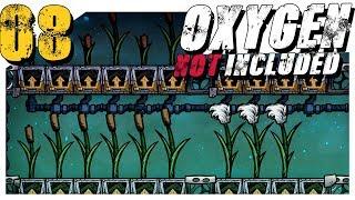 #8 Перцовый орешник и контейнер грязной воды ►  Oxygen Not Includet