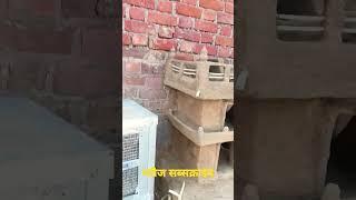 viral house mitti ka ghar house #trending #mostviewedonyoutu #shortsfeed #shortvideo