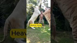 the joy of growing up with animals #shortvideo #animal#shorts#pet