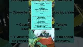СТАРЫЙ СМЕШНОЙ АНЕКДОТ ПРО ВОВОЧКУ #анекдоты #Юмор #История #Жизнь #Анекдот #Прикол #США