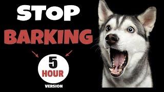 STOP Dogs Barking NOW with HIGH PITCHED Dog Whistle Sound (FIVE HOURS)