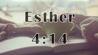 Esther 4:14 It is time you come to God's kingdom!