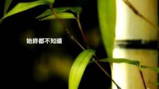 每日每夜每一天