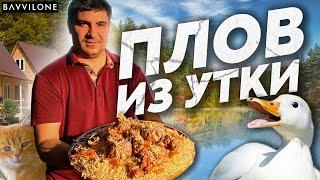 ПЛОВ ИЗ МЯСА УТКИ / РЕЦЕПТ от СЕРГО  (ENG SUB)