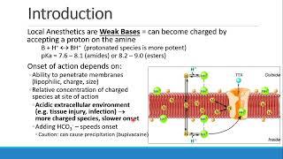 Pharmacology for Anesthesia   06 Local Anesthetics Part 1