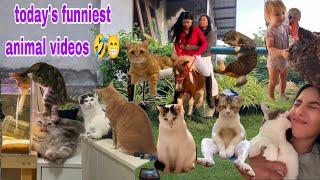 Funny Animal Videos  Latest Funniest Pets and Humans 2024